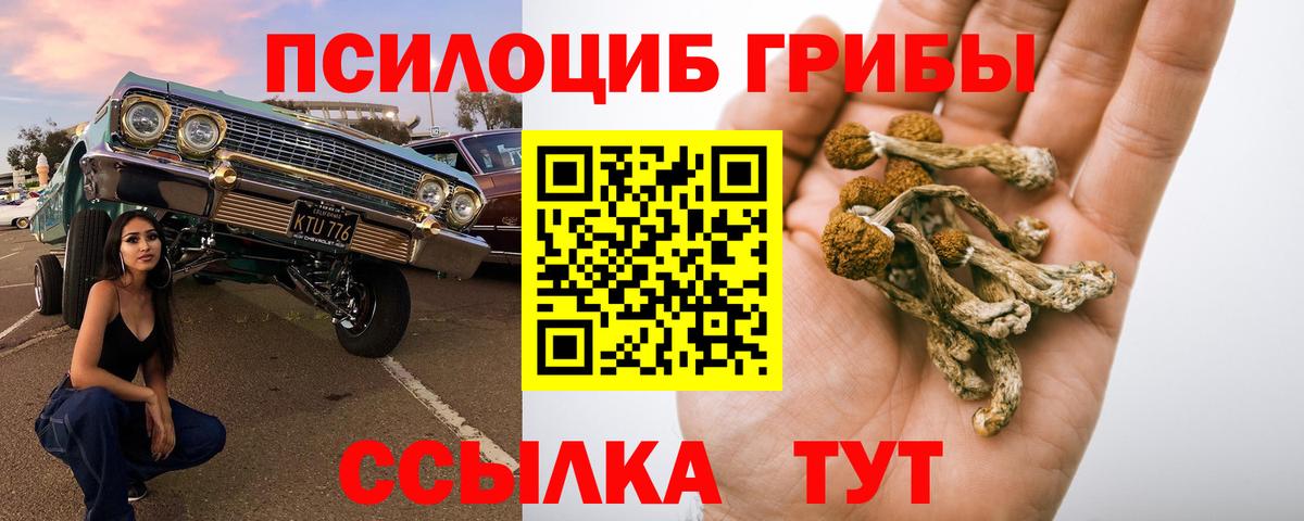 Псилоцибиновые грибы Magic Shrooms Александров