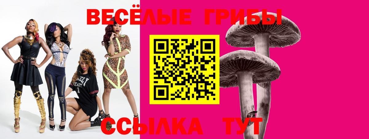 Псилоцибиновые грибы MAGIC MUSHROOMS  даркнет сайт  Галлюциногенные грибы ЛСД  Александров  Вход с VPN 